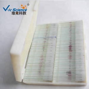 100 Stück menschliche Mikro fotografie Histologie vorbereitet Objektträger Set Proben Mikroskop vorbereitet Objektträger Histologie Objektträger - Product Image 6