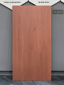 Piastrelle in Gres Porcellanato Antiscivolo Spessore 18mm 600x1200mm per Esterni, Pavimentazione Resistente per Ville, Cortili, Giardini - Product Image 1