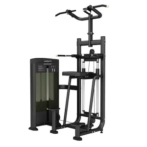 Hersteller Beste Qualität Kraft training Fitness studio Fitness-Sets Fitness geräte Fitness studio Gewichte Mnd-FS09 Dip/Chin Assist