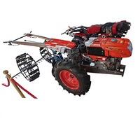 EAGLE POWER Motoculteur 2 roues NC131 avec fonction de marche, motoculteur agricole alimenté par un moteur diesel RT155