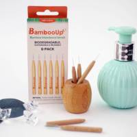 Brosses interdentaires avec manche en bambou Nettoyant d'hygiène buccale réutilisable antibactérien écologique Choix de fil dentaire