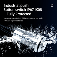 Interrupteur à bouton-poussoir à tête allongée en acier inoxydable IP67 de 12 mm