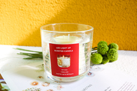 Neue Festliche Luxus-Duftkerzen im Glas mit Sojawachs und Gelwachs Innen, Individuelle Verpackung