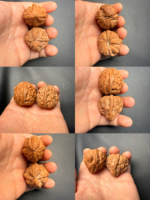 Coquille de noix sauvage naturelle à trois plis Qinling, art populaire oriental, jouet anti-stress, cadeau d'affaires haut de gamme, objet de collection