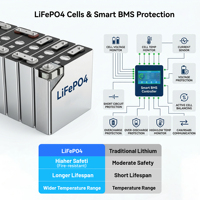 Batterie LiFePO4 51,2 V 300 Ah 15,36 kWh au phosphate de fer et de lithium à décharge profonde pour système de stockage d'énergie solaire en rack de serveur ESS avec BMS intelligent