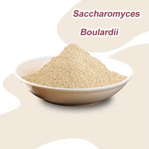 ISO 공장 Saccharomyces Cerevisiae Bulardii 100 억 CFU/g 프로바이오틱 파우더 S. - Product Image 1