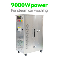 220V 고품질 스테인리스 스틸 99% 열효율 9kw 전기 스팀 세차기 (자동차 청소용)