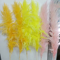 Grande herbe de pampa blanchie couleur blanche neige 45 pouces de haut herbe de pampa blanche séchée pour arche de mariage