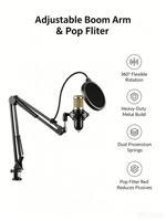 Carte son V98 Live, kit de microphone à condensateur BM800, mixeur audio professionnel pour diffusion en streaming sans fil 5.0 pour podcast