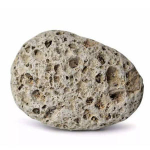 Piedra natural para plantas, piedra de grano carnoso, horticultura - Product Image 6