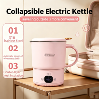 Bouilloire Électrique Portable 800ml 1000W en Acier Inoxydable avec Affichage LED de la Température, Conception Pliable, Précise pour la Maison et l'Extérieur