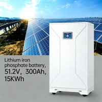 Batería de Almacenamiento de Energía Doméstica de 15KWH 300Ah, Montada en Pared, LiFePO4 CAN, Generador Solar SUPSRSAFE Modelo T30, Gran Venta 2026