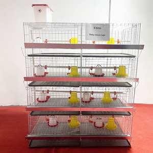 Sistema de Jaulas para Gallinas Ponedoras de Bajo <span class=keywords><strong>Precio</strong></span> con 3-4 Niveles y Capacidad para 96-160 Aves para Granja de Cría - Product Image 4