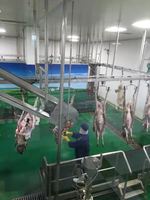 Équipement complet de décapage d'abattoirs multi-halal pour les moutons, les chèvres, les agneaux et les abattoirs.