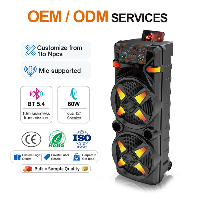 80W Party Karaoke Speaker 2*12 Subwoofers + Wireless Mic + 8 RGB LED Lights + for BT + DC Powered
