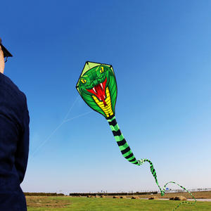 बिक्री के लिए लंबे सांप उड़ान पतंग - Product Image 2