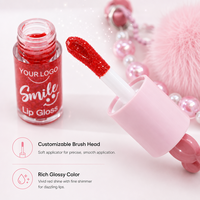 Livraison Rapide Brillant à Lèvres Smile Handle OEM Marque Privée Gel Scintillant Rouge Tête de Brosse Souple Léger Retouche Quotidienne