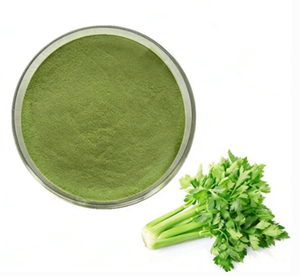 Polvo de Apio, Polvo Deshidratado Natural, Ingrediente para Hornear y Sazonar - Product Image 1