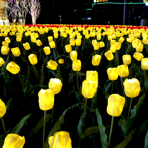 Toprex <span class=keywords><strong>Fiori</strong></span> di Tulipano Artificiali LED Realistici di Alta Qualità per Decorazioni Natalizie, Matrimoni <span class=keywords><strong>e</strong></span> Pareti - Product Image 6