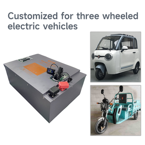 Customized <strong>60V</strong> Removable Solid State <strong>LiFePO4</strong> <strong>Battery</strong> Pack for Electric Motorcycle Scooter 30Ah 60Ah 100Ah BMS Bluetooth 3000 - Product Image 6