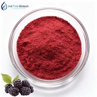 Hete Aanbieding Natuurlijk Zonder Additieven Gedroogd Zwarte Frambozen Fruitpoeder voor Vaste Drankformulering