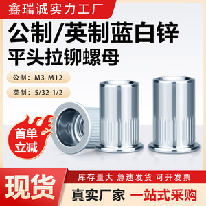 น็อตยึดแบบหัวแบน Xinruicheng รุ่น M3-M12 เกรด A 4.8 เหล็กกล้า ป้องกันการคลายตัว สำหรับอุปกรณ์ไฟฟ้า - Product Image 5