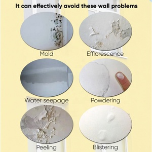 Nhà máy trực tiếp xây dựng nước dựa trên chống kiềm mồi cho bên ngoài lớp phủ tường chống ẩm tường Acrylic dựa trên niêm phong mồi - Product Image 6