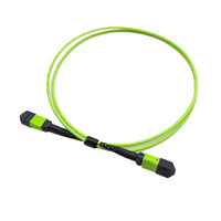 FTTX FTTH 24 Cores OM5 Elite Type B MPO atau MTP MPO/MTP bagasi kabel optik Jumper Fiber Optic Patch Cord