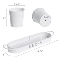 Boîte à fleurs en métal galvanisé pour rebord de fenêtre Ensemble de jardinières à herbes aromatiques Plateau Grand intérieur extérieur Ferme Décoration intérieure Pot à herbes