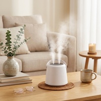 Humidificateur d'air USB rechargeable personnel, mini, portable, avec lumière LED décorative pour chambre, design OEM, petite buse, lampe lune électrique