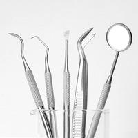Kit d'outils dentaires en acier inoxydable pour le nettoyage des dents, détartreur, cure-dents, pinces, éliminateur de plaque et de tartre, ensemble de soins bucco-dentaires avec sac de rangement