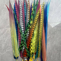 Plumes longues de faisan Lady Amherst artificielles teintées en gros pour costumes de carnaval, festivals et décorations de la Trinidad