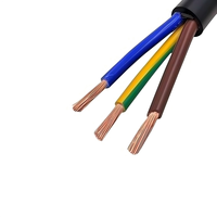 RVV 300/500V CE Certified Stranded Copper Cable for Industrial Instrument Wiring