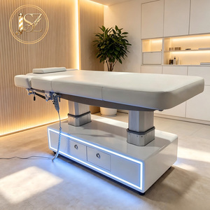 Lettino da Massaggio Elettrico Riscaldato di Lusso per Spa e Salone di Bellezza, Poltrona per Trattamenti Estetici, Letto per Trattamenti Viso e Ciglia con Luce - Product Image 2