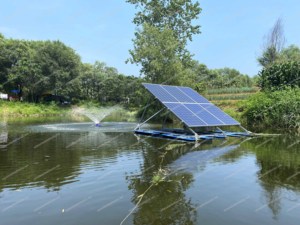 Tùy chỉnh 1kw off-lưới năng lượng mặt trời Pond Aerator bơm cho tôm AO lai Hệ thống biến tần với MPPT điều khiển ứng dụng ngoài trời - Product Image 5