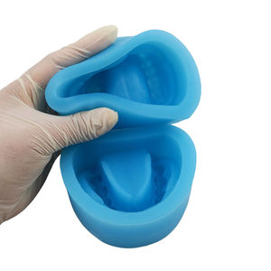 Full Arch Dental <b>Silicone</b> <b>Rubber</b> Mold Full Dentition Mold of Holostomatous Teeth Model - Product Image 3