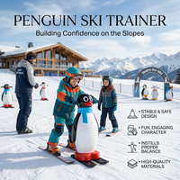 Pistes de curling portables en UHMWPE à montage rapide, patinoires synthétiques, planches d'entraînement de hockey sur glace, découpe sur mesure