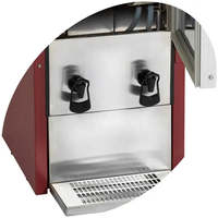 Distributeur de vin réfrigéré TEFCOLD DKS95 Bag-in-Box avec robinet, intérieur en acier inoxydable, finition rouge +3°C +9°C, réfrigérant R600a 4