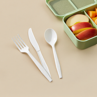 Greenday Premium Series Wegwerp CPLA Vork Lepel Volledig Biologisch Afbreekbaar Composteerbaar Eco 7 inch CPLA Mes voor Fruit Taart Biefstuk