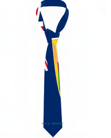 Cravate patriotique Yap Flag pour le quotidien ou les occasions formelles, idéale pour les costumes et les fêtes, un cadeau parfait pour papa, grand-père ou mari
