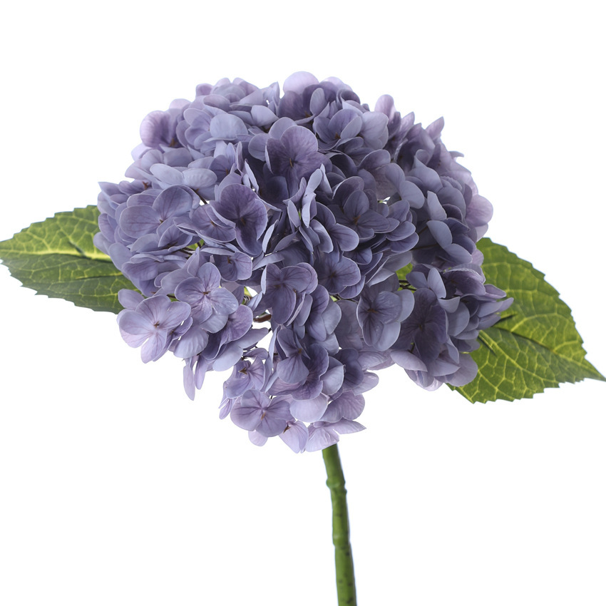 Orchidée violette PU3