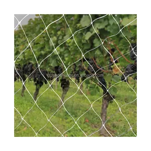 Toptan kargo ağı alti-Naylon düğümsüz Net balıkçılık veya Anti kuş