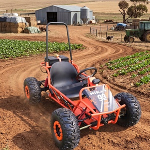 <span class=keywords><strong>Karting</strong></span> électrique 1000w <span class=keywords><strong>tout</strong></span>-<span class=keywords><strong>terrain</strong></span>, buggy <span class=keywords><strong>tout</strong></span>-<span class=keywords><strong>terrain</strong></span> à vendre - Product Image 1