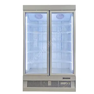 Undercounter Refrigerator Glass Door Ice Cream Display Freezer Vertical Commercial Refrigerator -22 Degree