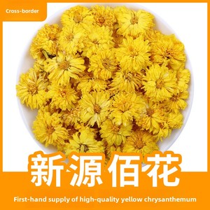 Venta al por mayor de fábrica: Té de crisantemo amarillo Huangshan Xuning, herbario, fresco, a granel, 500g, origen Anhui - Product Image 3