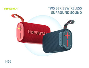 Bán Buôn Ewtto <span class=keywords><strong>Hifi</strong></span> 4Ohms 12W Tùy Chỉnh Đầy Đủ Bảng Điều Chỉnh Limy Chen Loa Siêu Trầm Di Động Ngoài Trời Không Thấm Nước Màu Xanh Răng Loa - Product Image 5