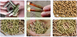 Machine à <span class=keywords><strong>granulés</strong></span> <span class=keywords><strong>de</strong></span> bois <span class=keywords><strong>pour</strong></span> la maison, petite puissance, broyeur <span class=keywords><strong>de</strong></span> <span class=keywords><strong>granulés</strong></span> <span class=keywords><strong>de</strong></span> bois, granulateur <span class=keywords><strong>de</strong></span> bois <span class=keywords><strong>pour</strong></span> la combustion au poêle avec approbation ce - Product Image 2