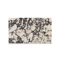 Newstar Pierre Rectangulaire Italien Marbre De Luxe Décor À La Maison Violet Calacatta Viola Marbre Plinthe Table Basse