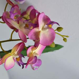 Orchidea Artificiale <span class=keywords><strong>in</strong></span> <span class=keywords><strong>Vaso</strong></span>, Orchidea Bianca <span class=keywords><strong>in</strong></span> Seta, Finta Phalaenopsis <span class=keywords><strong>in</strong></span> <span class=keywords><strong>Vaso</strong></span>, Fiore Finto per Decorazione Casa - Product Image 2