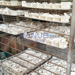 Tecnología de Vanguardia: Cámara de Secado de Yam Rehmannia Glutinosa, Línea de Producción de Corte y Secado de Yam - Product Image 2